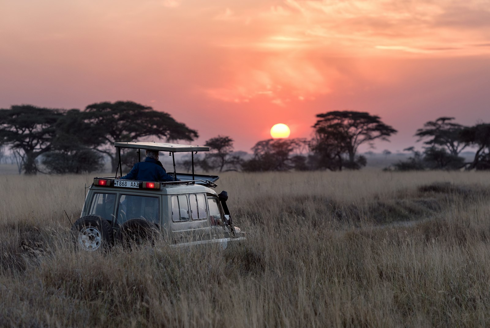 Sudáfrica — Kruger Big Five